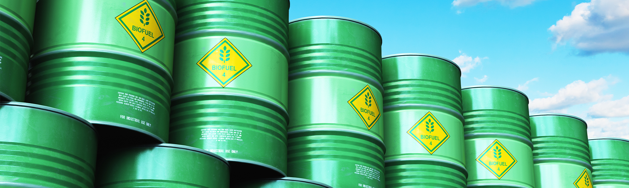 Biodiesel fuel containers